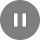 playIcon